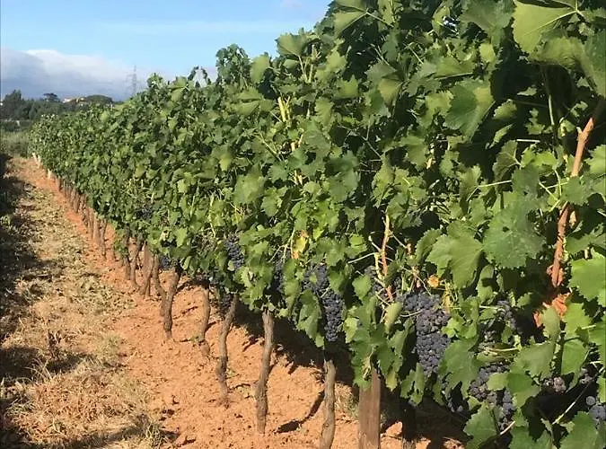 Quinta Lourena - Casa Do Desassossego Casa vacanze *