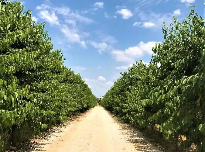 Quinta Lourena - Casa Do Desassossego * Covilhã