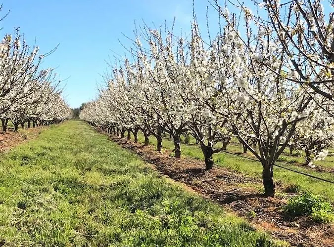 Ferienhaus Quinta Lourena - Casa Do Desassossego Covilhã